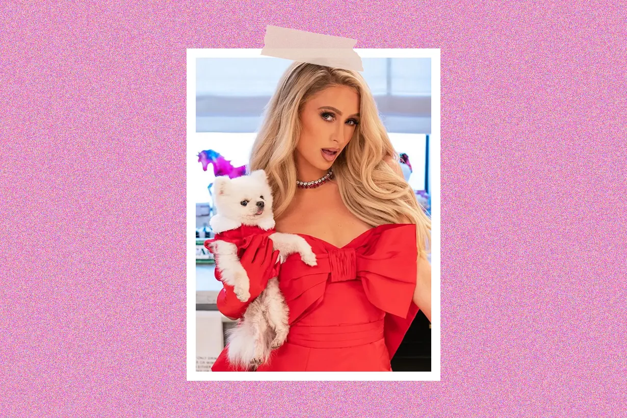 能夠想到穿著晚禮服錄煮菜節目的，天下間大概只有 Paris Hilton 一人！